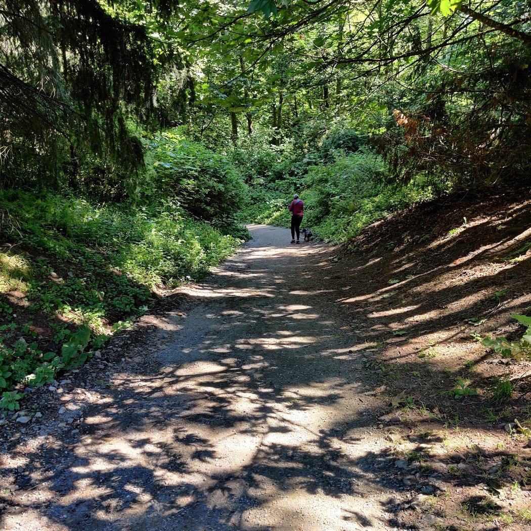 Carkeek Park Eddie McAbee Entrance